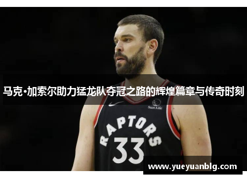 马克·加索尔助力猛龙队夺冠之路的辉煌篇章与传奇时刻