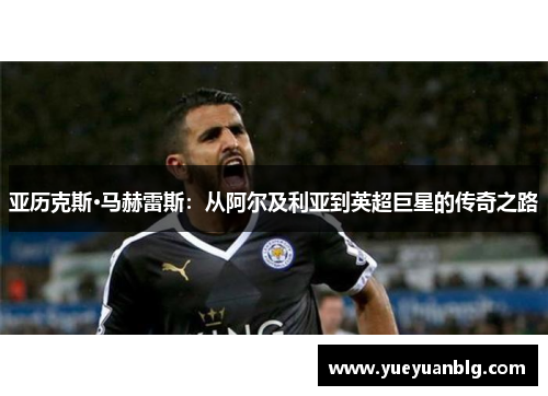 亚历克斯·马赫雷斯：从阿尔及利亚到英超巨星的传奇之路