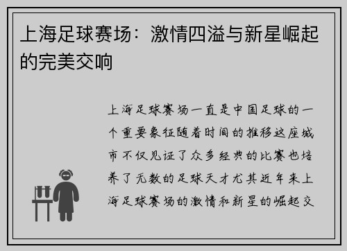 上海足球赛场：激情四溢与新星崛起的完美交响