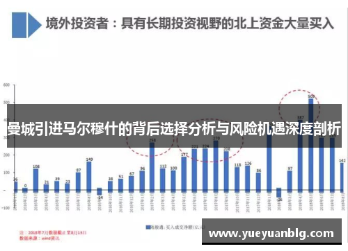 曼城引进马尔穆什的背后选择分析与风险机遇深度剖析