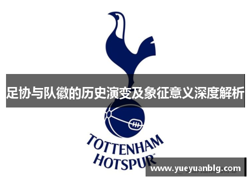 足协与队徽的历史演变及象征意义深度解析 足协与队徽的历史演变及象征意义深度解析