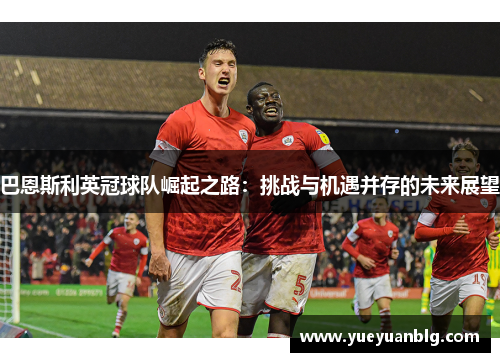 巴恩斯利英冠球队崛起之路：挑战与机遇并存的未来展望